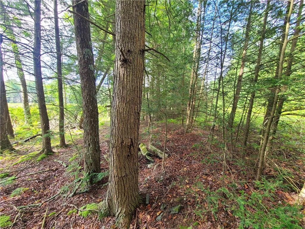 Lot 23 Deer Meadow Road, Bethel, NY 12720