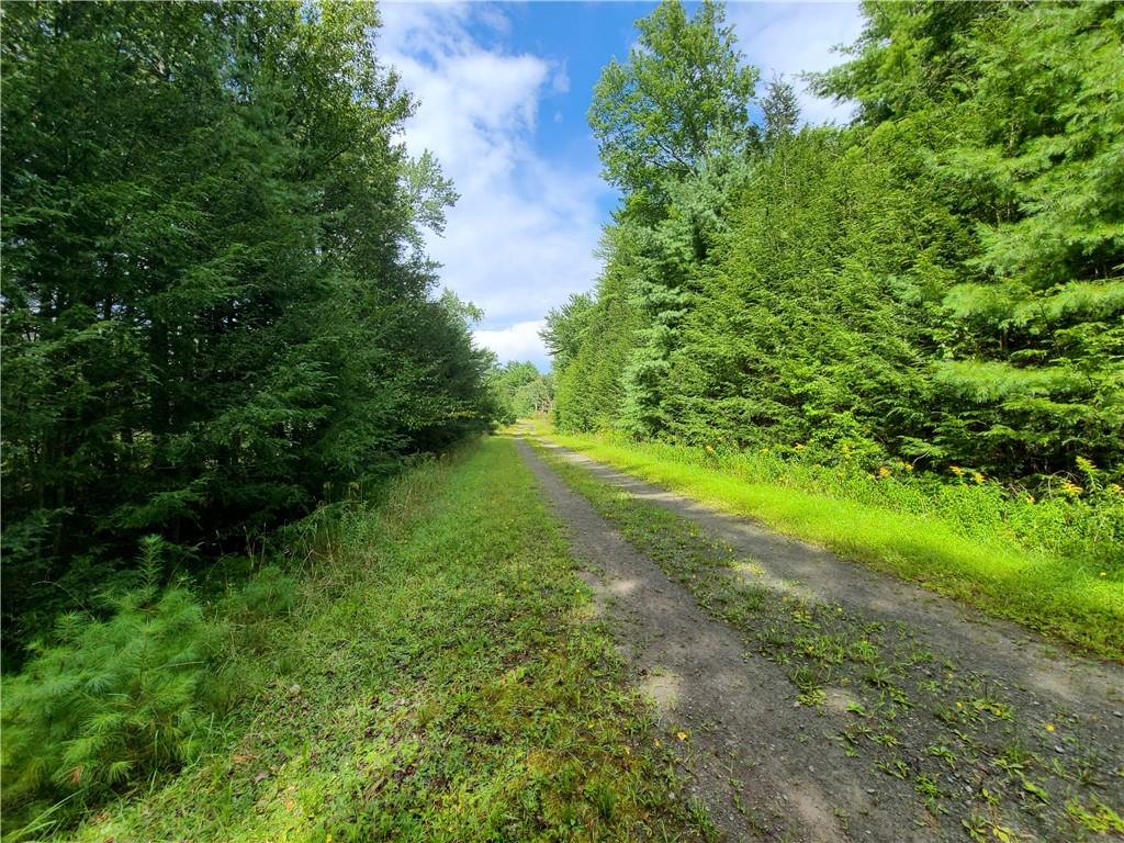 Lot 23 Deer Meadow Road, Bethel, NY 12720