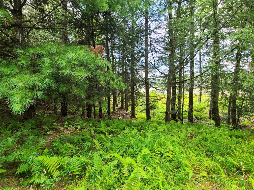 Lot 23 Deer Meadow Road, Bethel, NY 12720