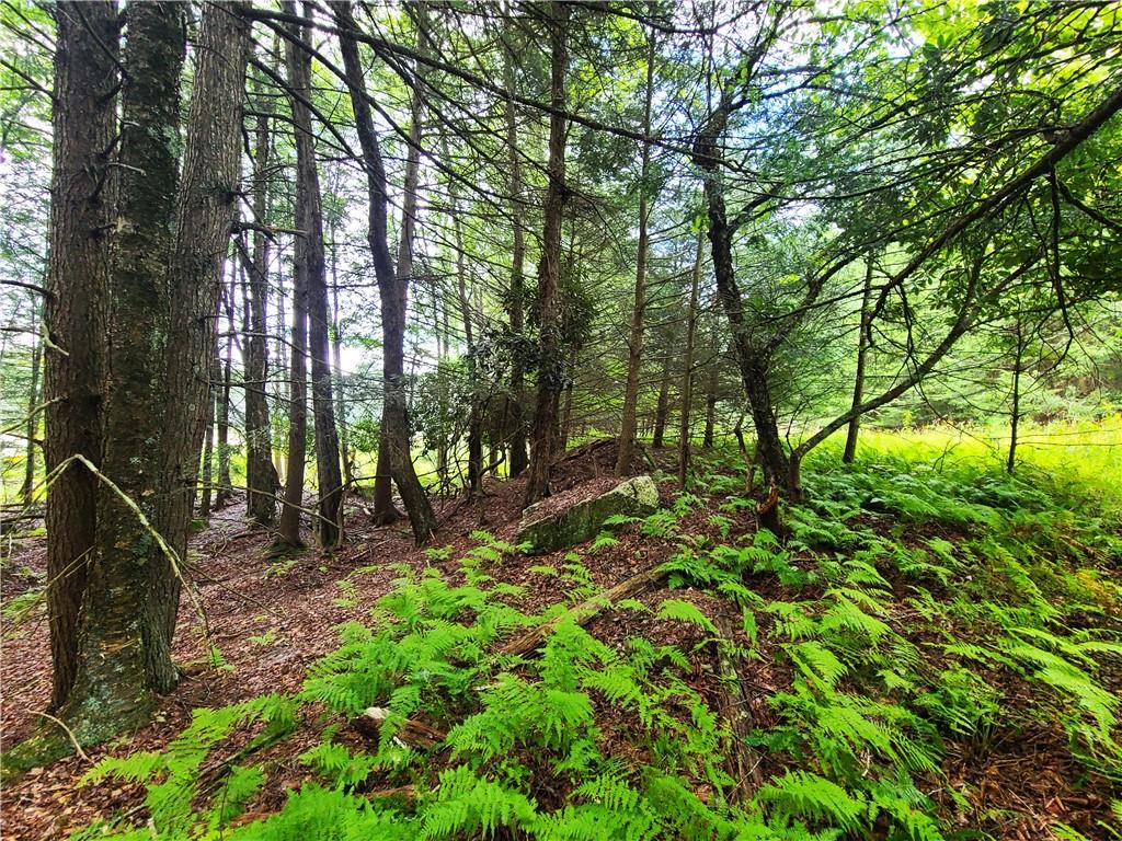 Lot 23 Deer Meadow Road, Bethel, NY 12720