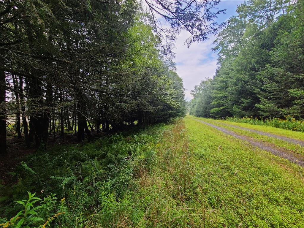 Lot 23 Deer Meadow Road, Bethel, NY 12720