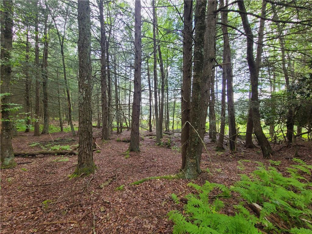 Lot 23 Deer Meadow Road, Bethel, NY 12720