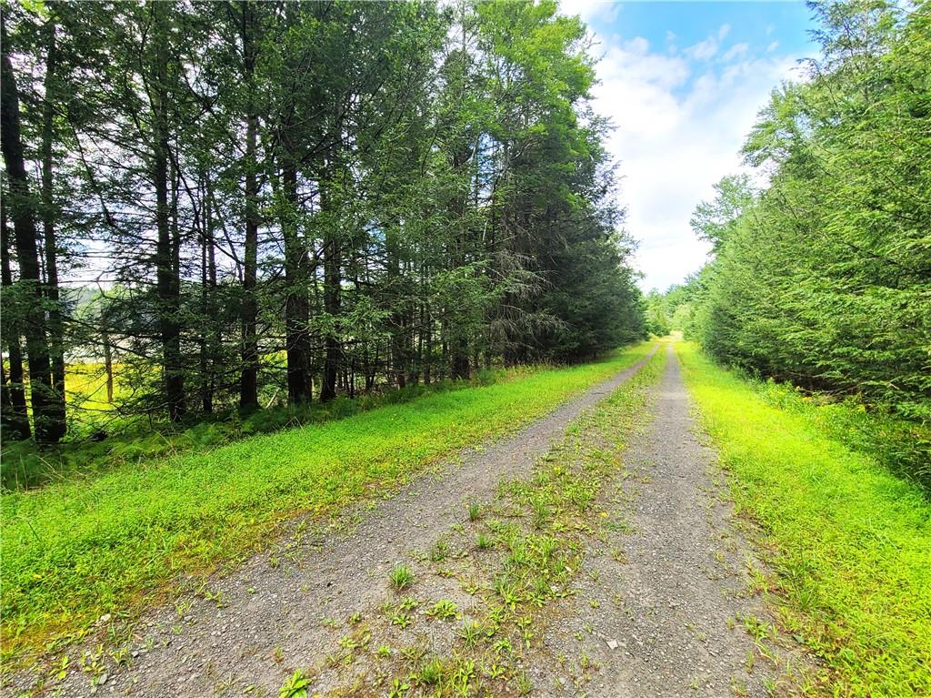 Lot 23 Deer Meadow Road, Bethel, NY 12720