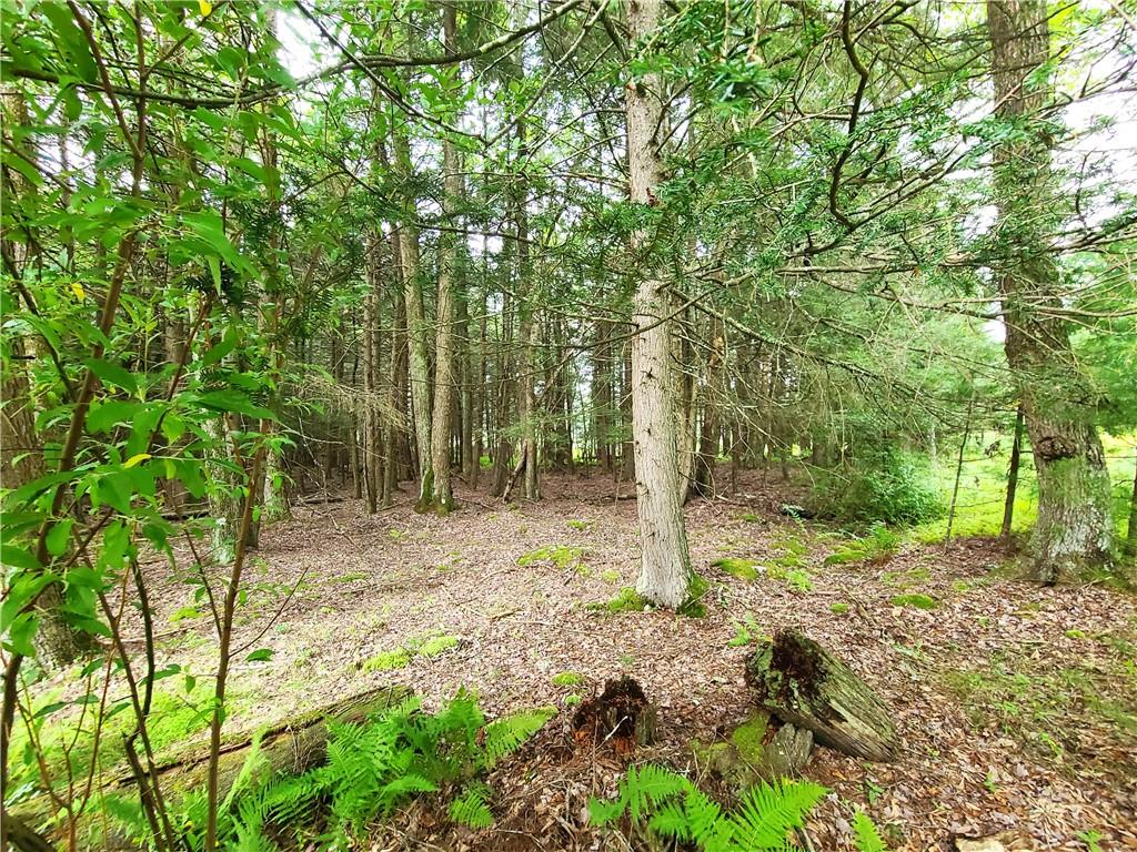 Lot 23 Deer Meadow Road, Bethel, NY 12720