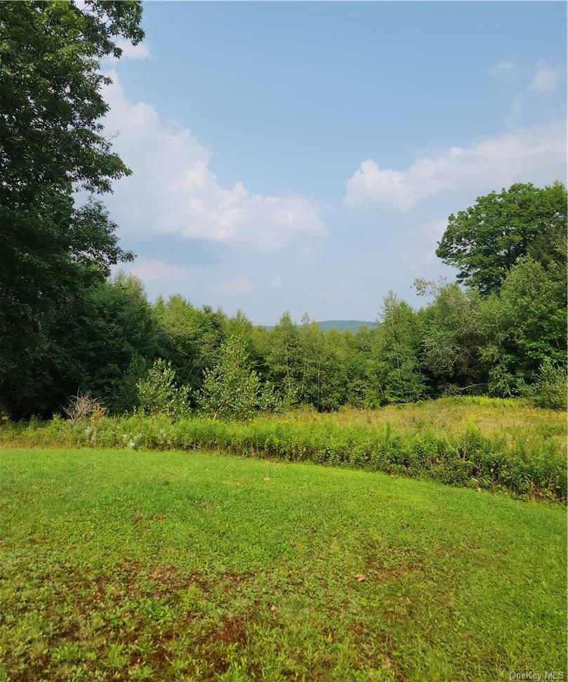 562 Swart Road, Margaretville, NY 12455