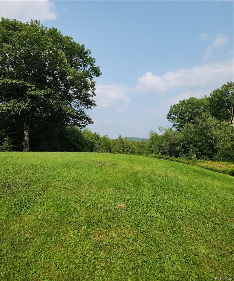 562 Swart Road, Margaretville, NY 12455