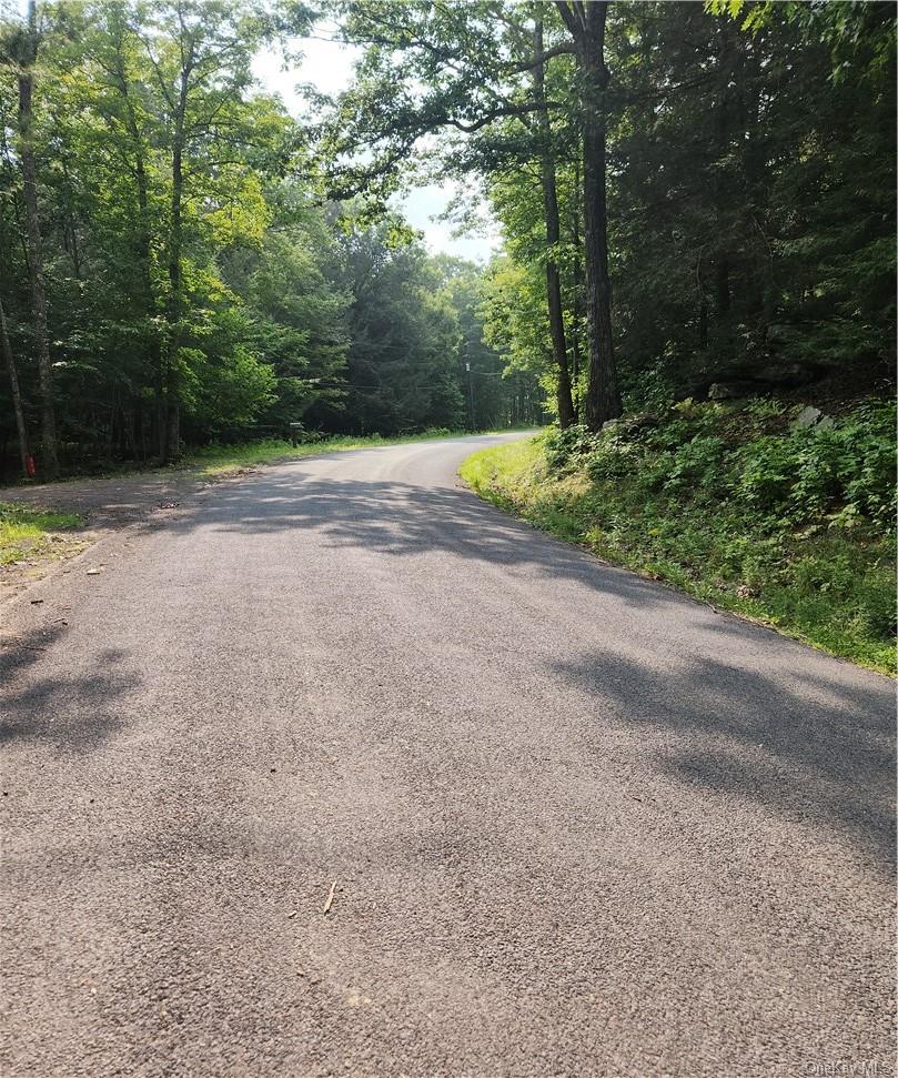 562 Swart Road, Margaretville, NY 12455