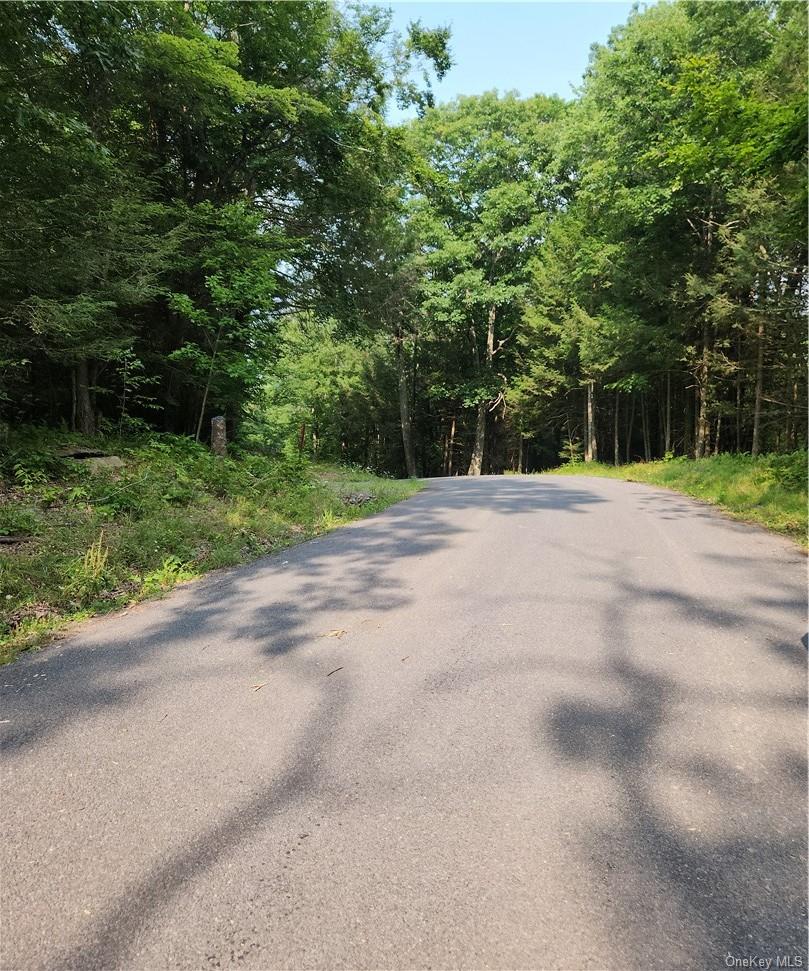 562 Swart Road, Margaretville, NY 12455