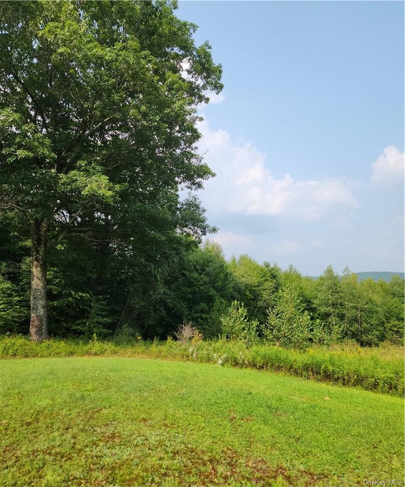 562 Swart Road, Margaretville, NY 12455