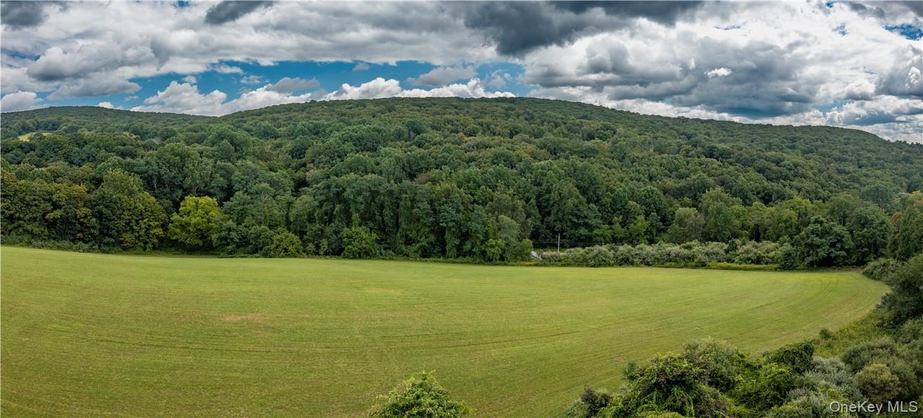 245 Birch Hill Road, Patterson, NY 12563