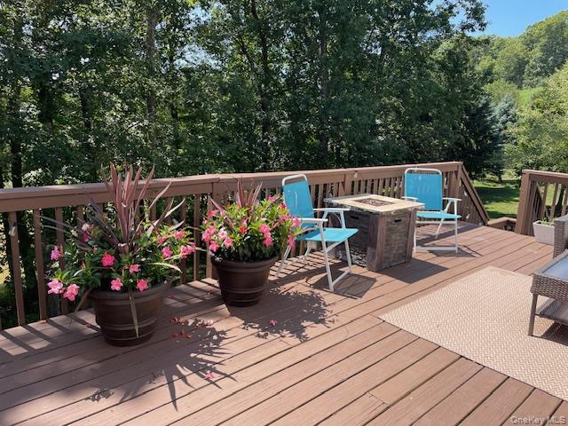 4 Carlisle Court, Highland Mills, NY 10930