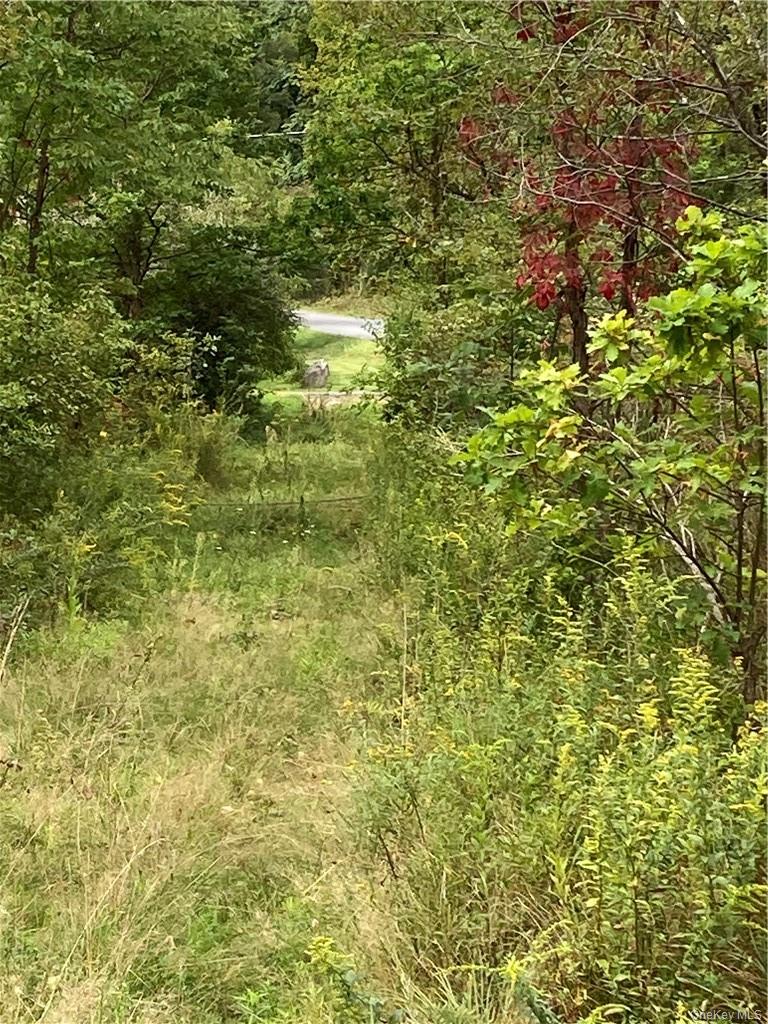 Logtown Road, Port Jervis, NY 12771