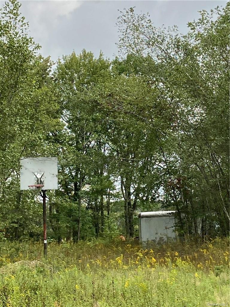 Logtown Road, Port Jervis, NY 12771