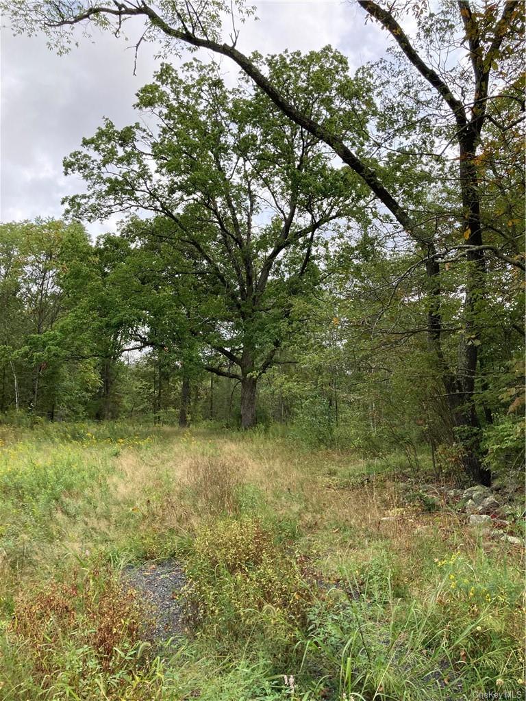 Logtown Road, Port Jervis, NY 12771