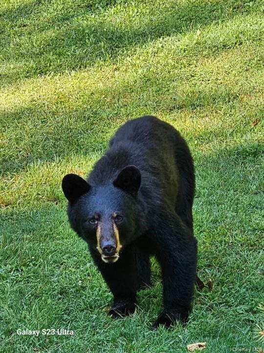 Logtown Road, Port Jervis, NY 12771