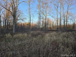 Logtown Road, Port Jervis, NY 12771