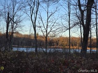 Logtown Road, Port Jervis, NY 12771