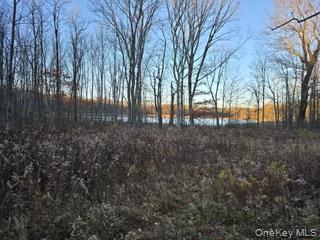 Logtown Road, Port Jervis, NY 12771