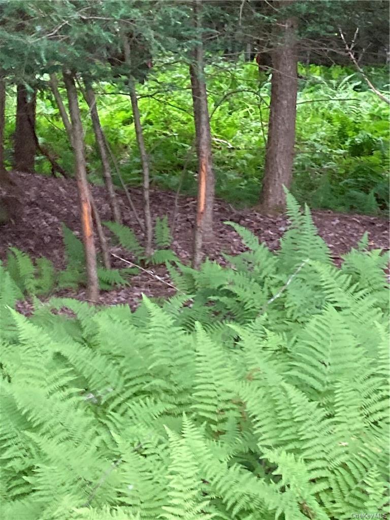 Logtown Road, Port Jervis, NY 12771