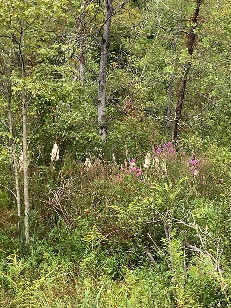 Logtown Road, Port Jervis, NY 12771