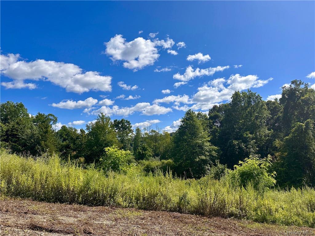 34 Mountainside Drive, Chester, NY 10918