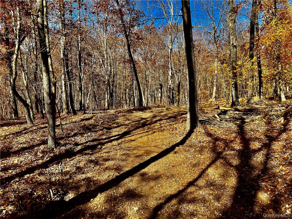 Westfall, Ancram, NY 12502