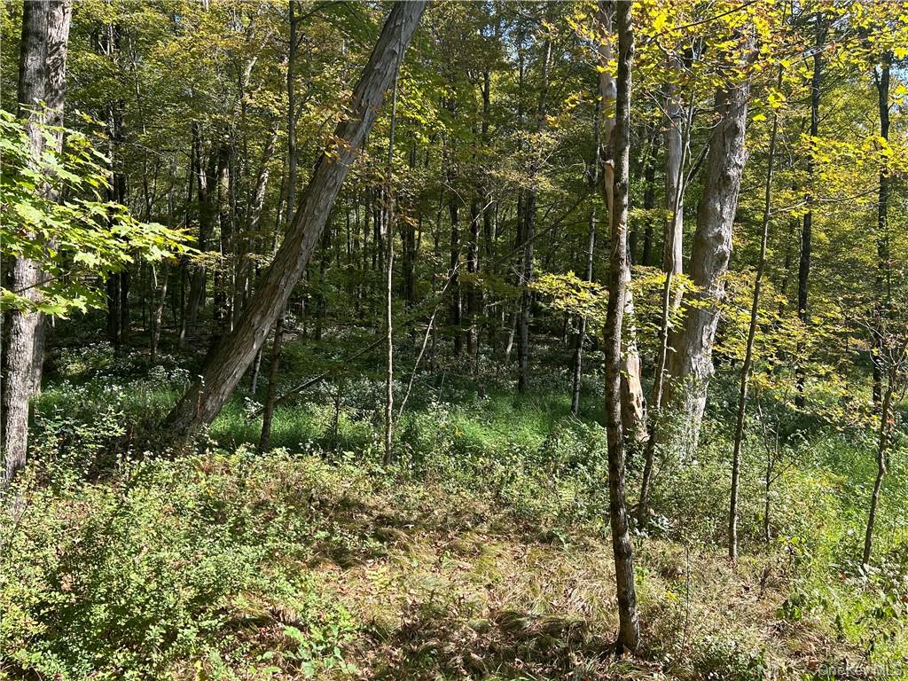 Westfall, Ancram, NY 12502