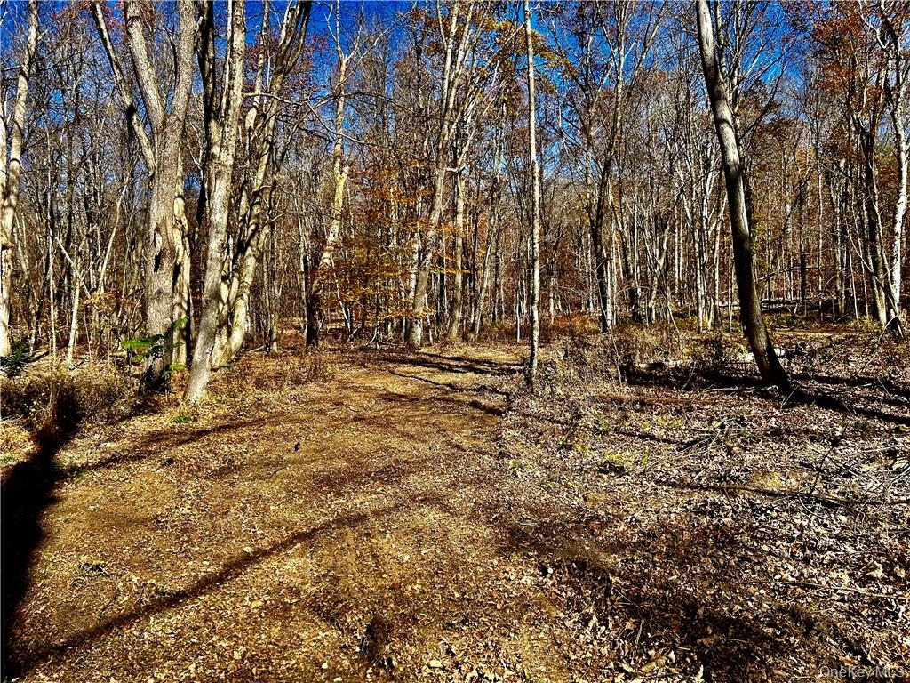 Westfall, Ancram, NY 12502