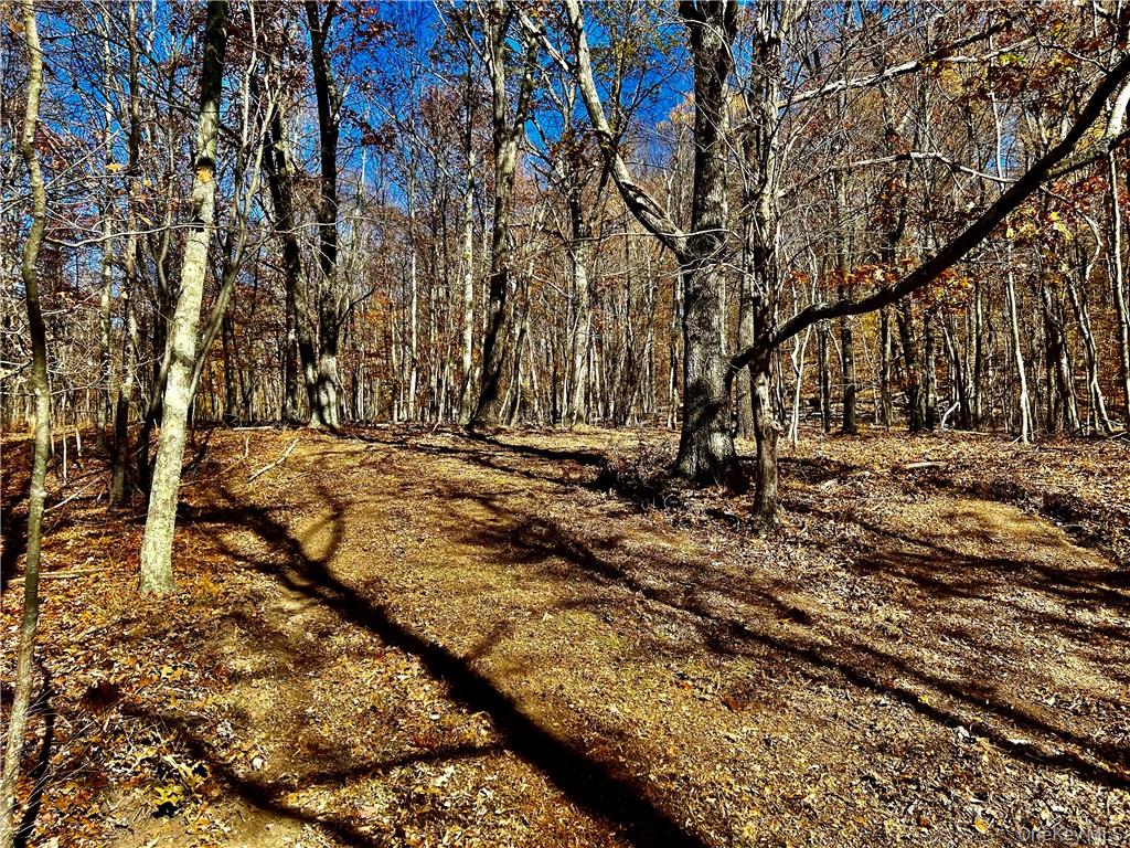 Westfall, Ancram, NY 12502