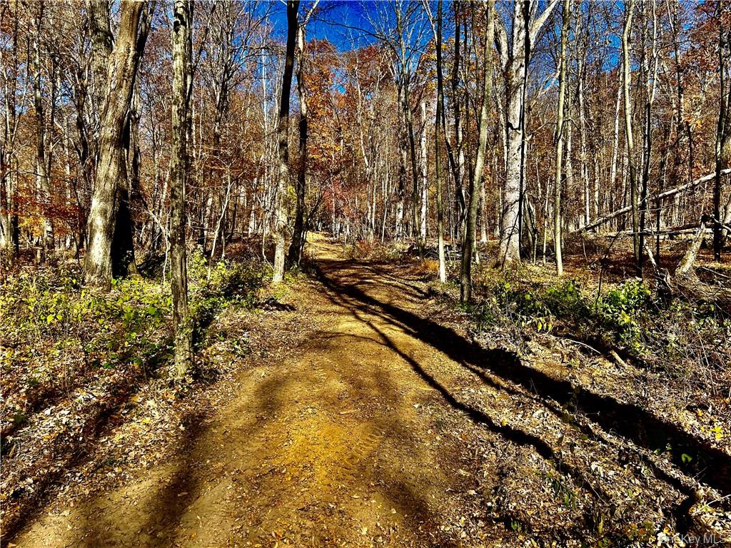 Westfall, Ancram, NY 12502