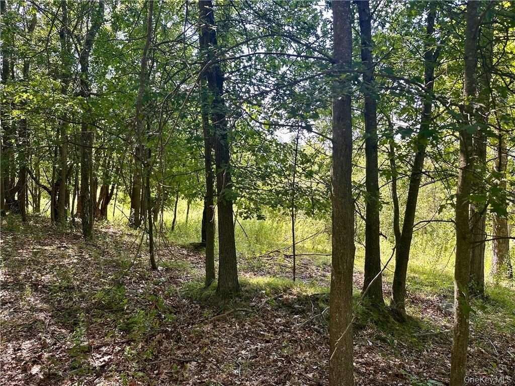 32 Mountainside Drive, Chester, NY 10918