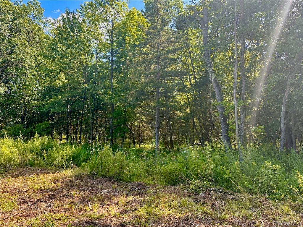 32 Mountainside Drive, Chester, NY 10918