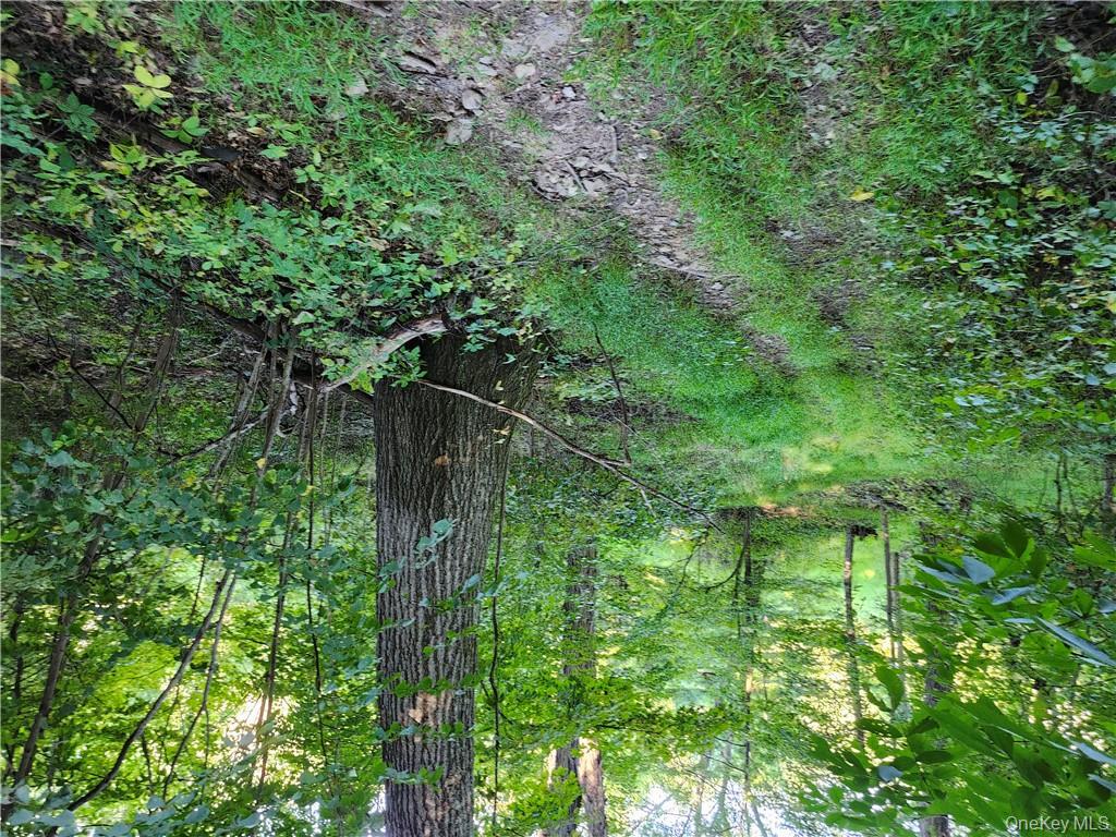 188 Old Stage Road, Saugerties, NY 12477