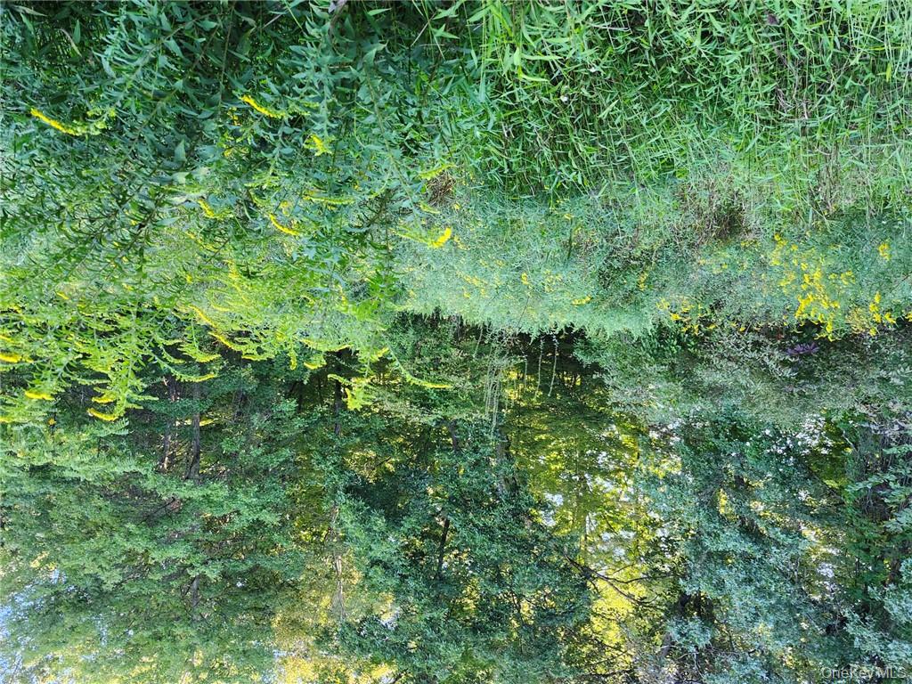 188 Old Stage Road, Saugerties, NY 12477