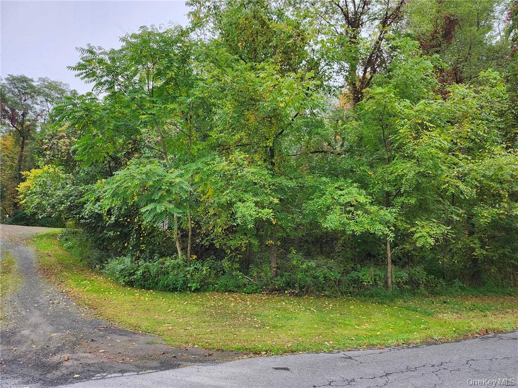 188 Old Stage Road, Saugerties, NY 12477