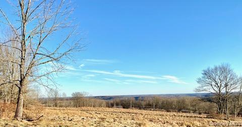 301 & 305 Hust, Jeffersonville, NY 12748