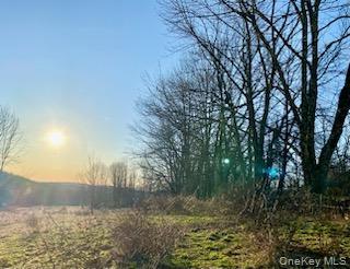 301 & 305 Hust, Jeffersonville, NY 12748