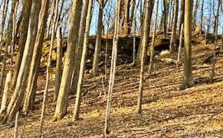 301 & 305 Hust, Jeffersonville, NY 12748