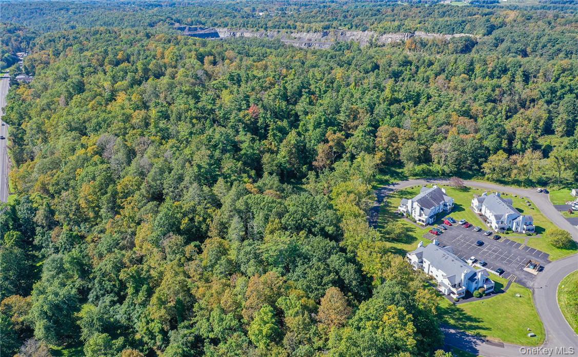 Tiger Maple, Saugerties, NY 12477