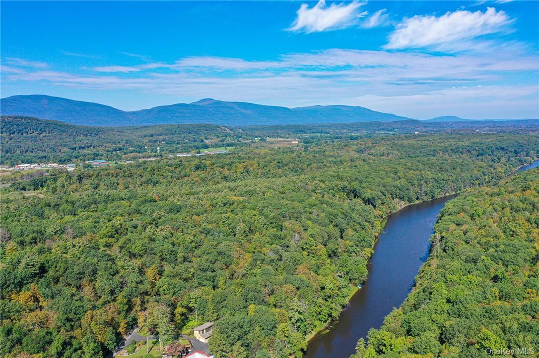 Tiger Maple, Saugerties, NY 12477