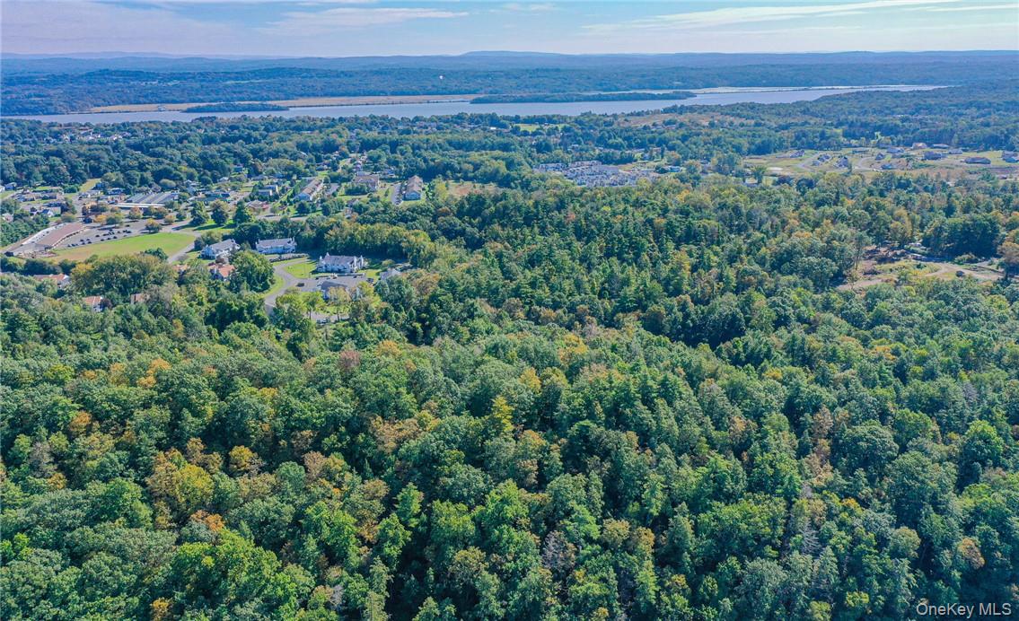 Tiger Maple, Saugerties, NY 12477