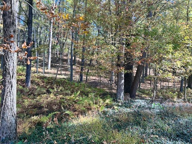 Pine Tree Lane, Wurtsboro, NY 12790