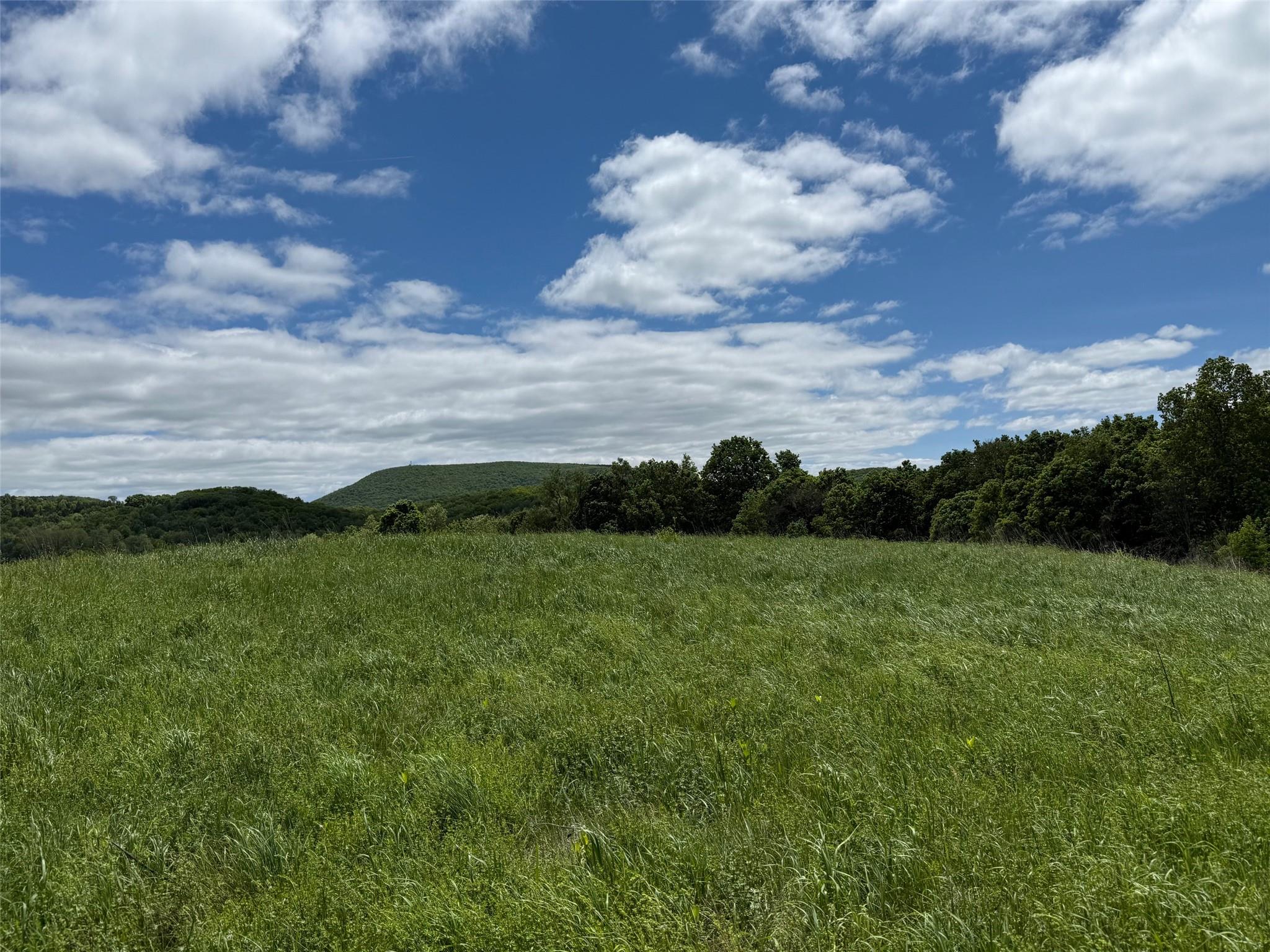 Woodward Hill,Stissng Mount, Hicks Hill, Route 199, Pine Plains, NY 12567