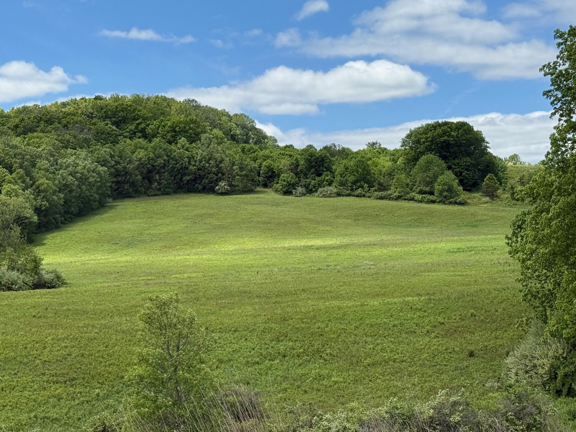 Woodward Hill,Stissng Mount, Hicks Hill, Route 199, Pine Plains, NY 12567