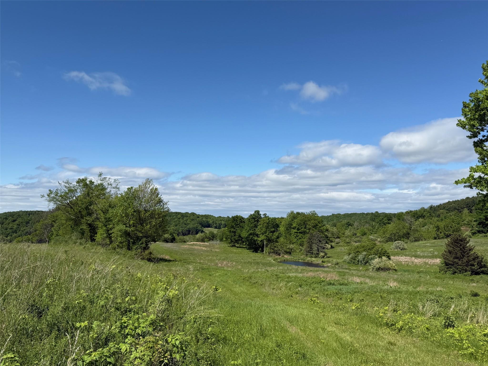 Woodward Hill,Stissng Mount, Hicks Hill, Route 199, Pine Plains, NY 12567