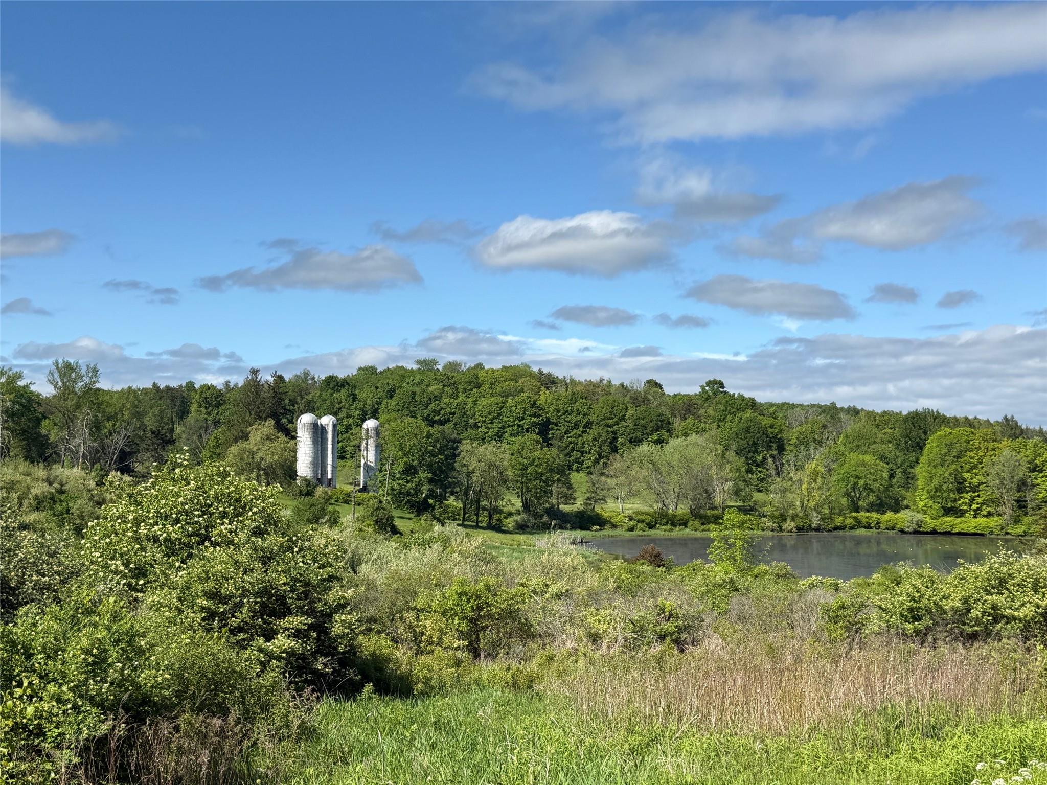 Woodward Hill,Stissng Mount, Hicks Hill, Route 199, Pine Plains, NY 12567