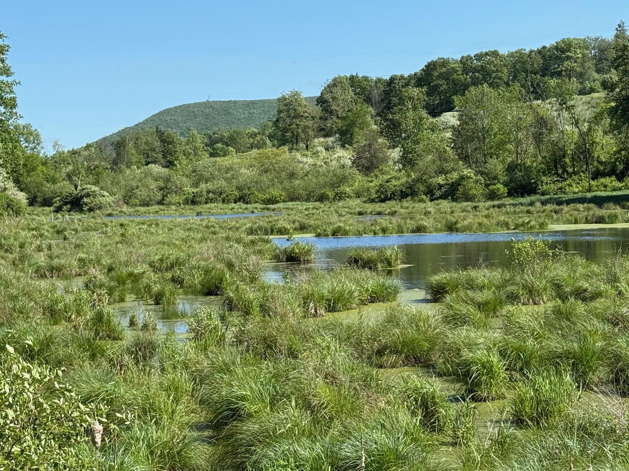 Woodward Hill,Stissng Mount, Hicks Hill, Route 199, Pine Plains, NY 12567