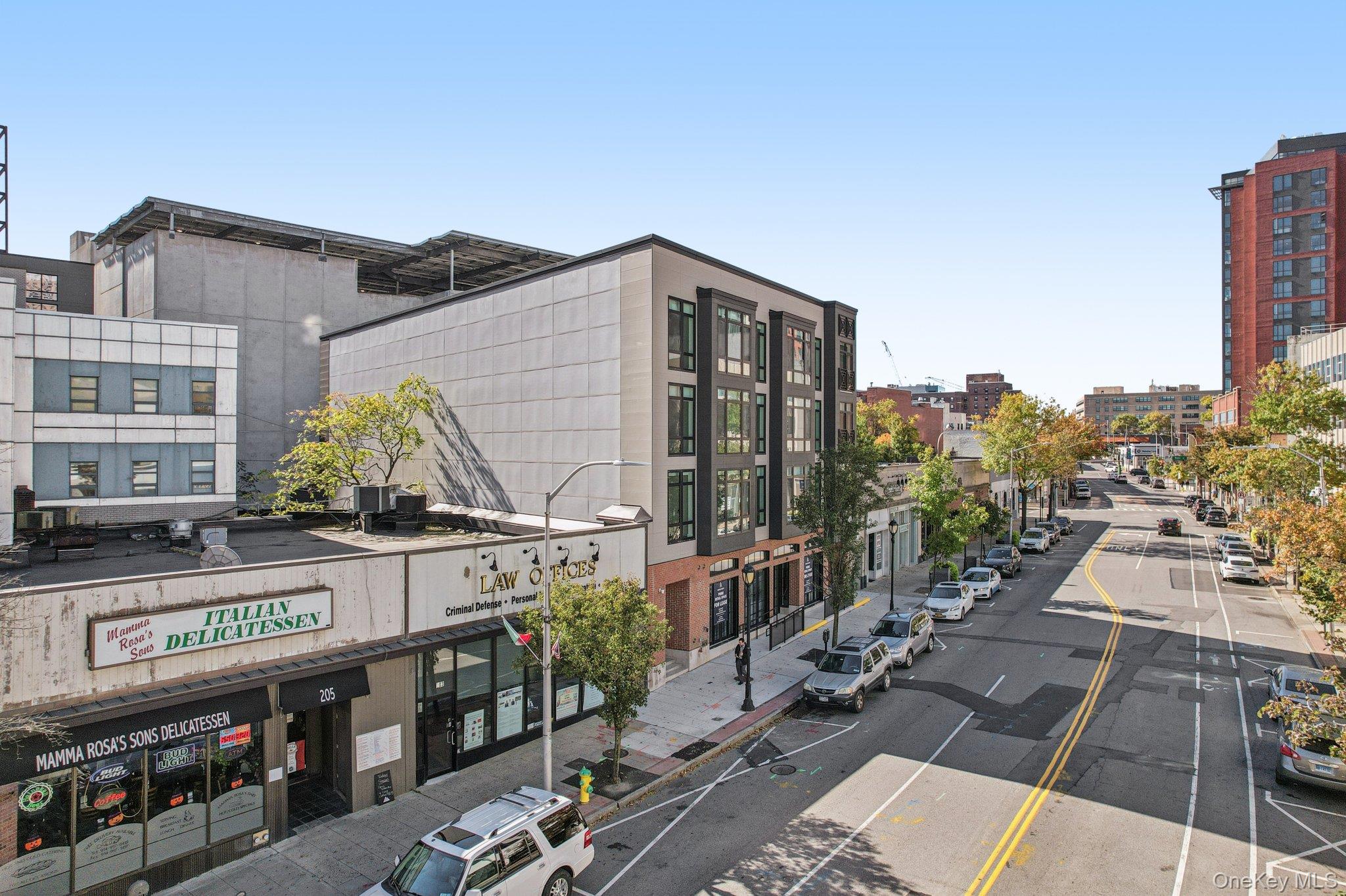 199 E Post Road # 205, White Plains, NY 10601