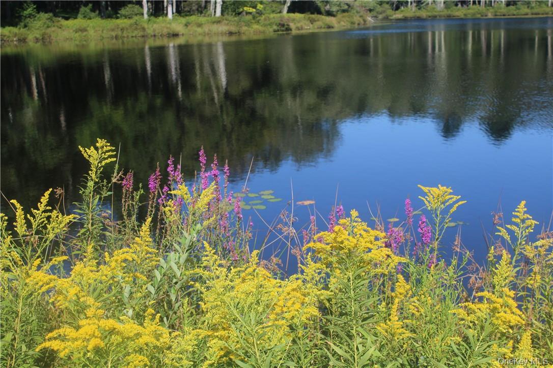 17 Gold Dan # 56C, Swan Lake, NY 12783