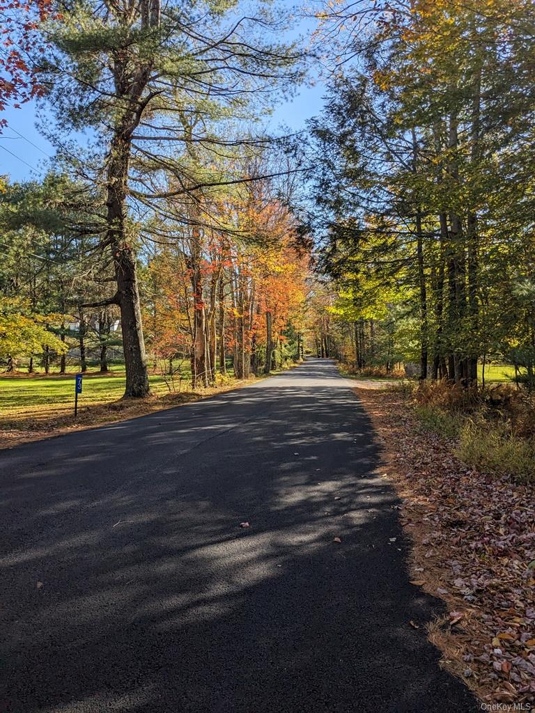 Moscoe Road, Bethel, NY 12786